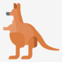 kangaroo