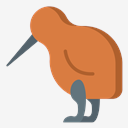 kiwi