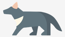 wombat