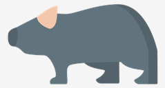 wombat