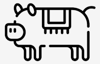 chinese,new,year
