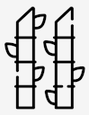 bamboo