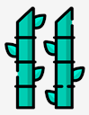 bamboo