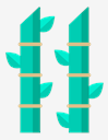 bamboo