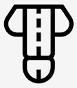 penis