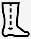 ankle
