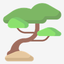bonsai