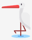 heron