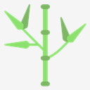 bamboo