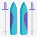 ski