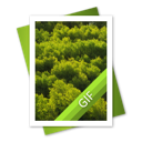 file,gif