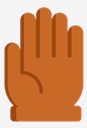 glove