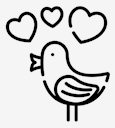 bird