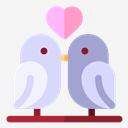birds