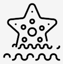 starfish