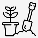 growing,seed