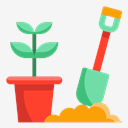 growing,seed