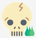 skull