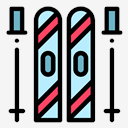 ski