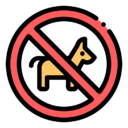 no,pets