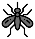 mosquito