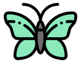 butterfly