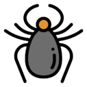 tick