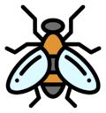fly
