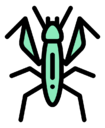 mantis
