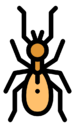 termite