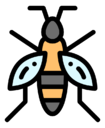 wasp