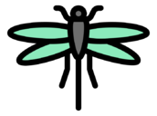 dragon,fly