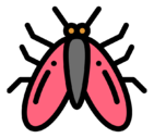 moth