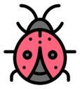 ladybird