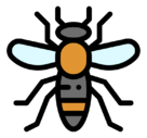 insect