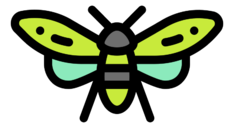 insect