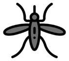 mosquito