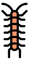 centipede