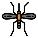 mosquito