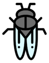mite