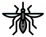 mosquito