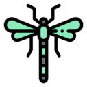 dragon,fly