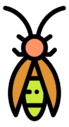 insect