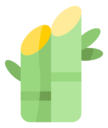 bamboo