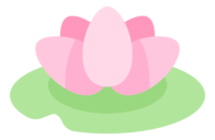 water,lily