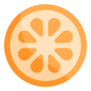 orange,slice