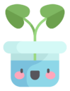 plant,pot