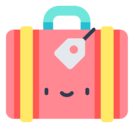 baggage
