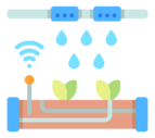 irrigation