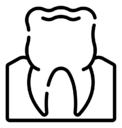 molar